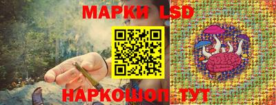 ГАЛЛЮЦИНОГЕННЫЕ ГРИБЫ Ставрополь