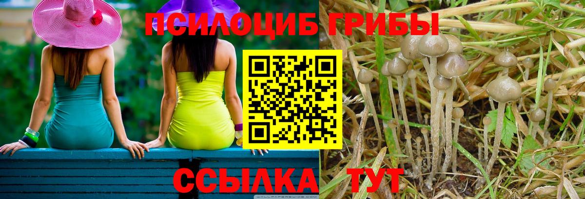 Псилоцибиновые грибы Magic Shrooms Соликамск