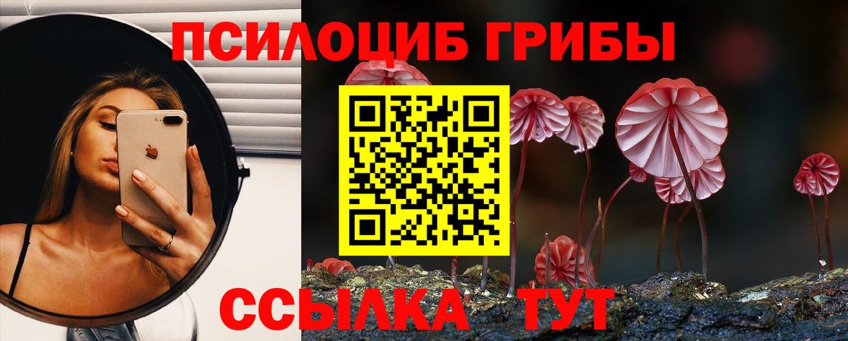 Псилоцибиновые грибы прущие грибы  как найти   Соликамск  Вход с VPN 